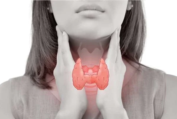Thyroid
