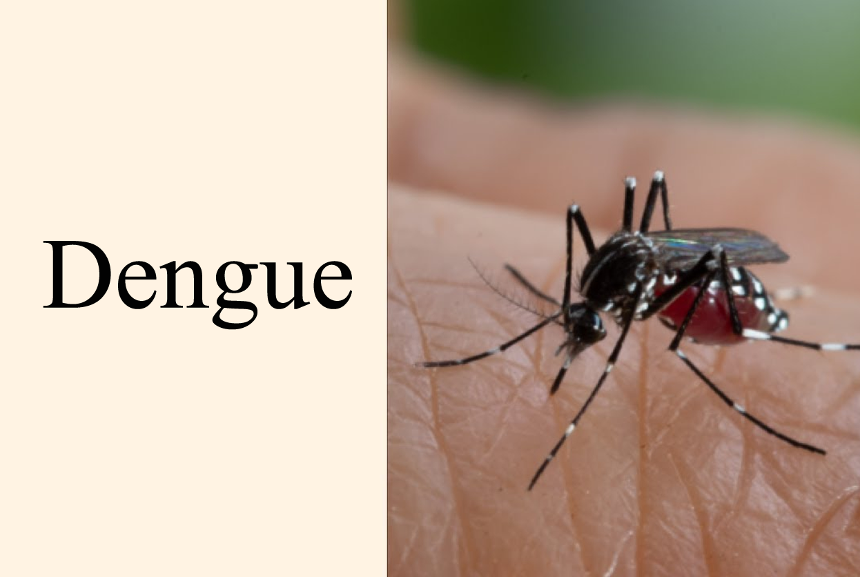 Dengue